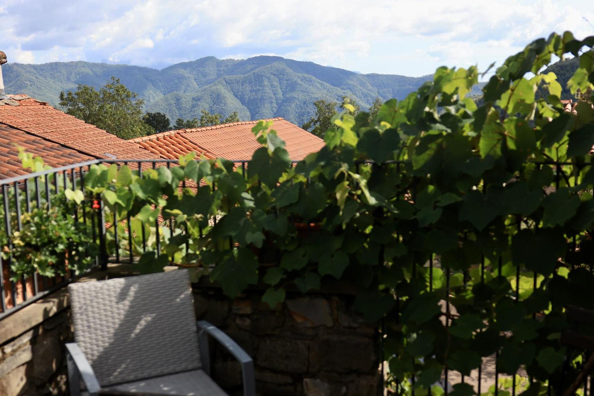 Agriturismo Montagna Verde Apella Licciana Nardi Exterior foto
